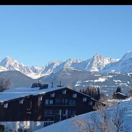 Studio Porte Du Mont Blanc Combloux Aux Pieds Des Pistes 외부 사진