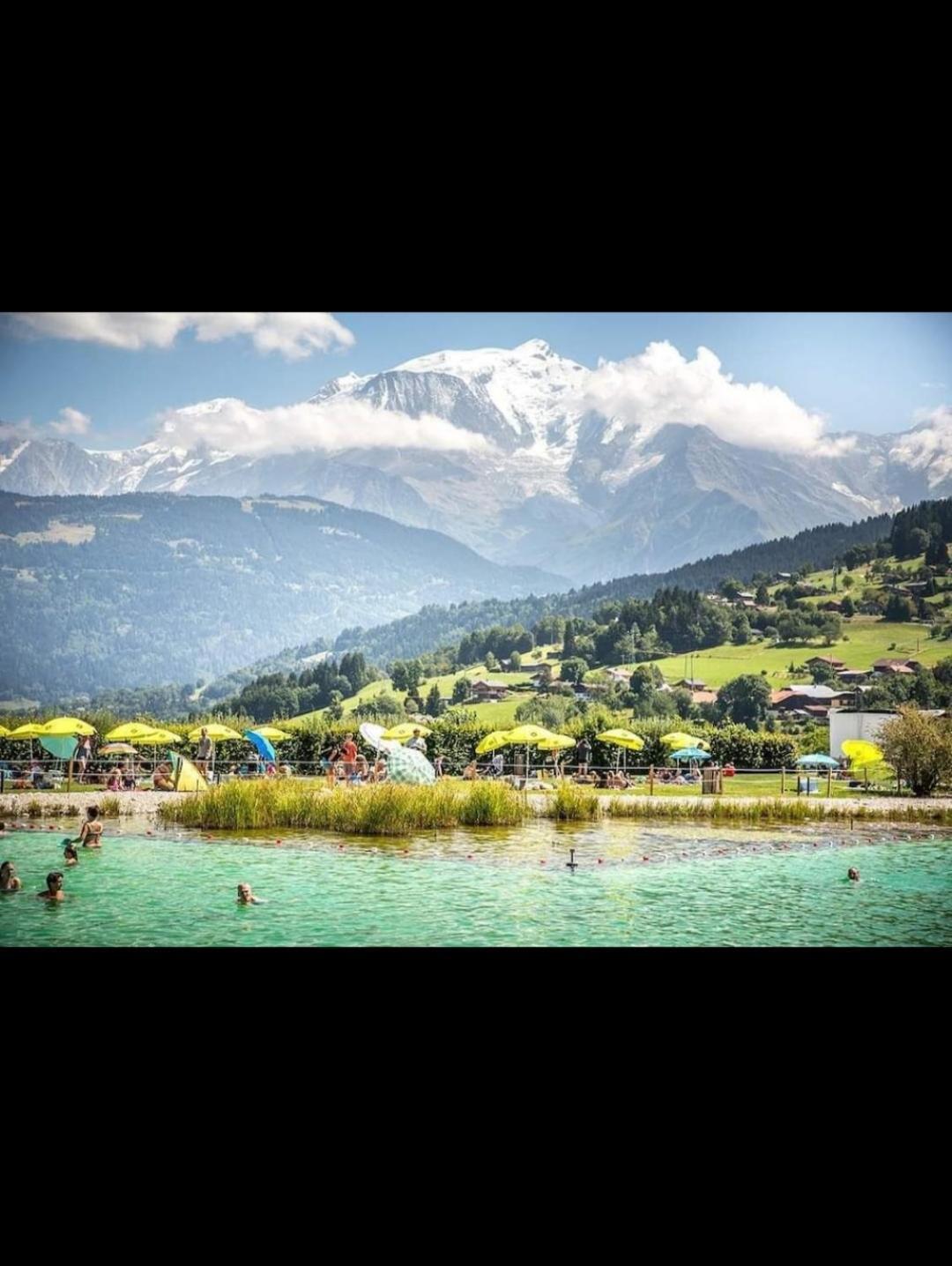 Studio Porte Du Mont Blanc Combloux Aux Pieds Des Pistes 외부 사진
